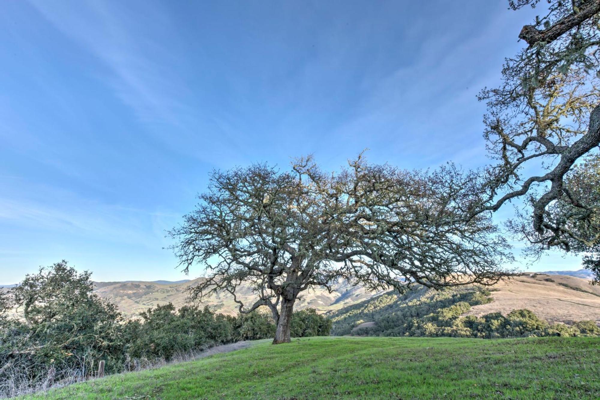 Lx37 Weathertop Ranch In Carmel Wine Country Carmel Valley Exteriér fotografie